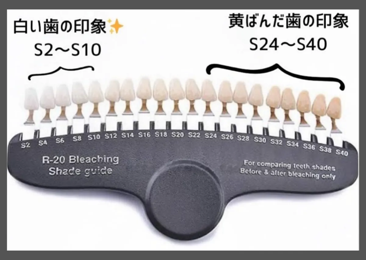 歯のトーン一覧